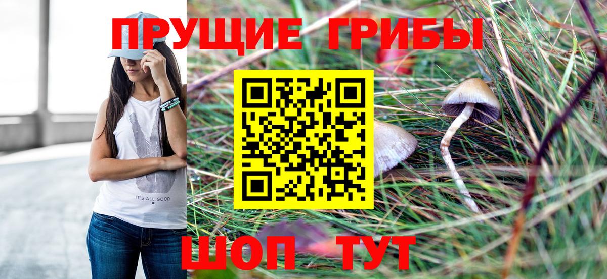 Псилоцибиновые грибы Cubensis  Вход с VPN  Галлюциногенные грибы Cubensis  Кунгур 